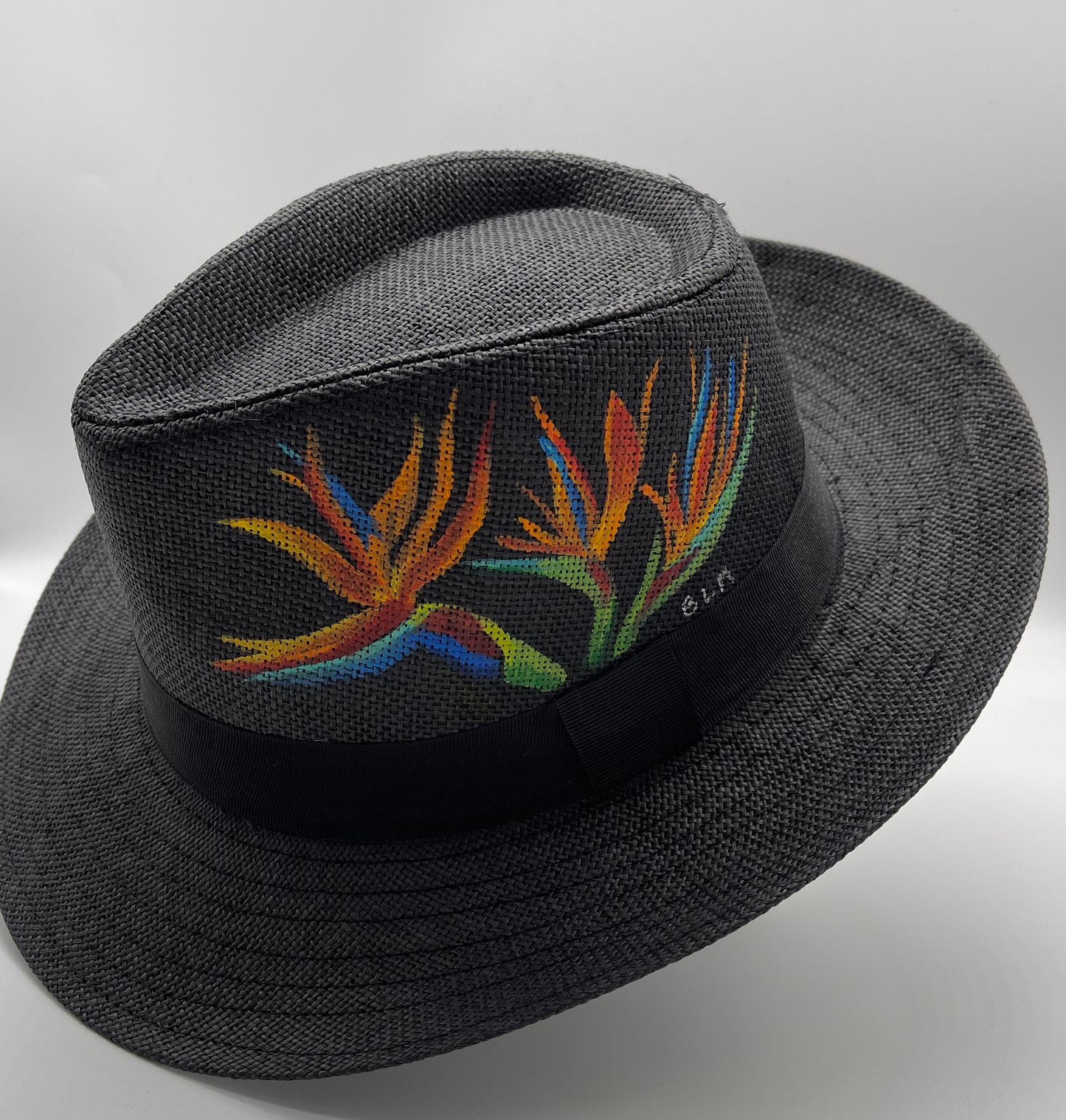 Hand painted hats